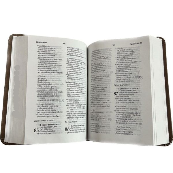 Biblia café - TLA Online Hot Sale