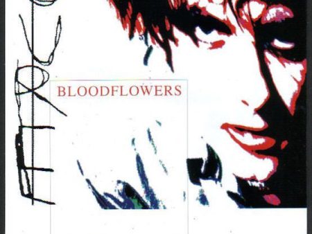 The Cure 2000 03 Bloodflowers Japan album promo ad For Discount